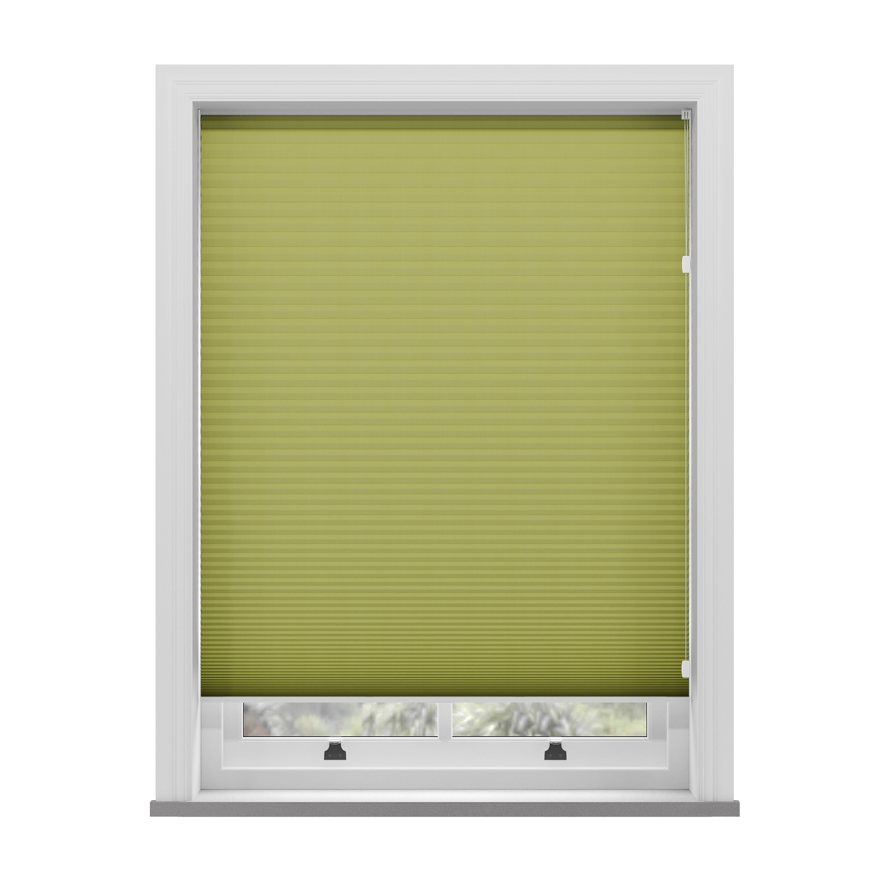 Blenheim Blackout Lime